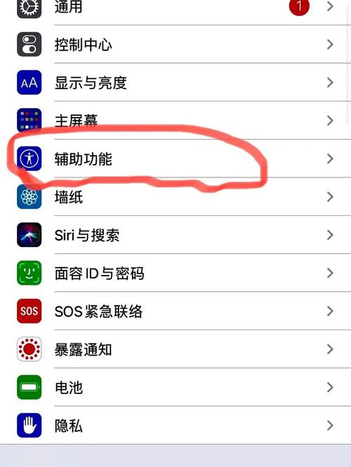 苹果11怎么截屏