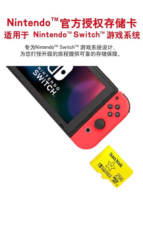 switch闪迪卡买c10还是u3