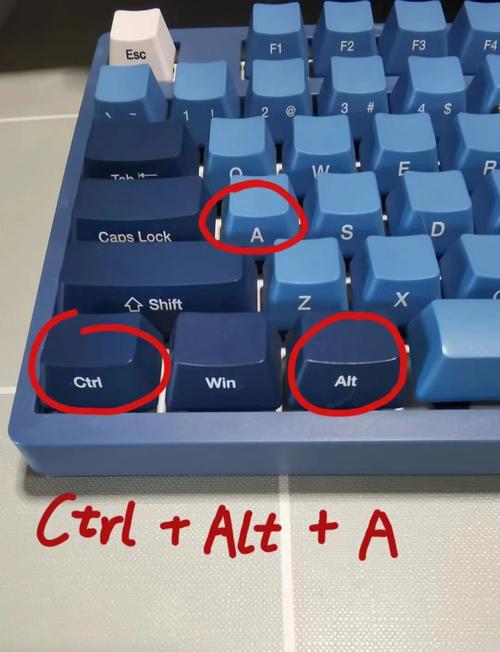 电脑上如何一边滚动一边截图