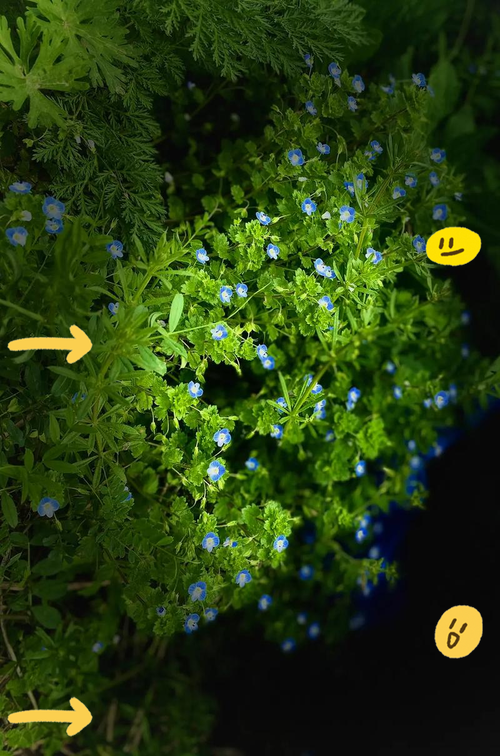 华为手机舞台光怎么拍摄