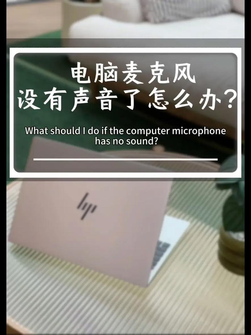 电脑麦克风启用了但是没声音怎么办