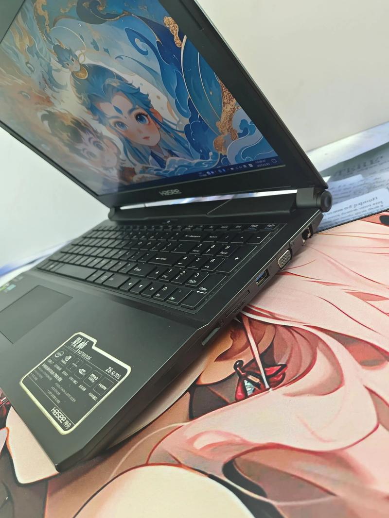 神舟游戏本的显卡可以自己换么吗