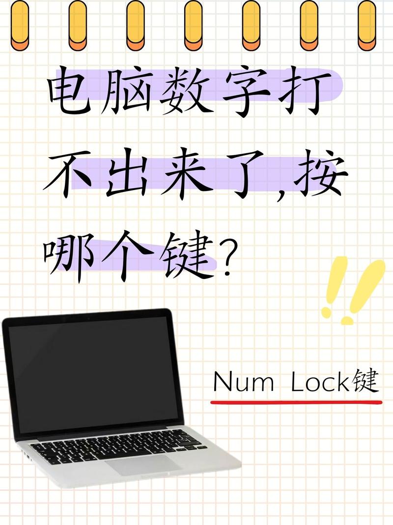 笔记本电脑键盘数字键无法输入