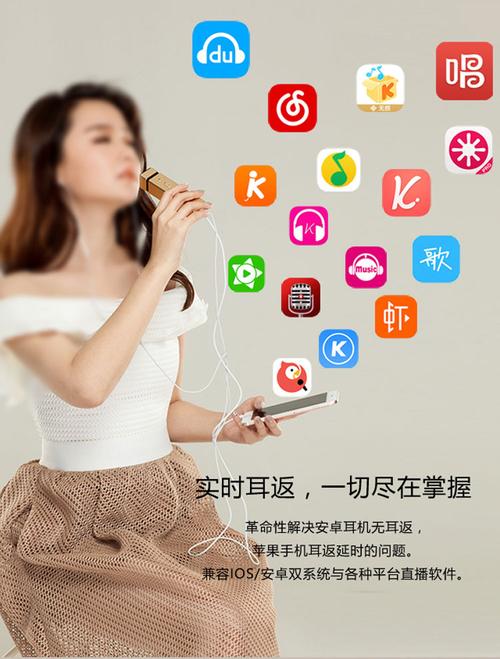 手机电脑话筒多少钱一个