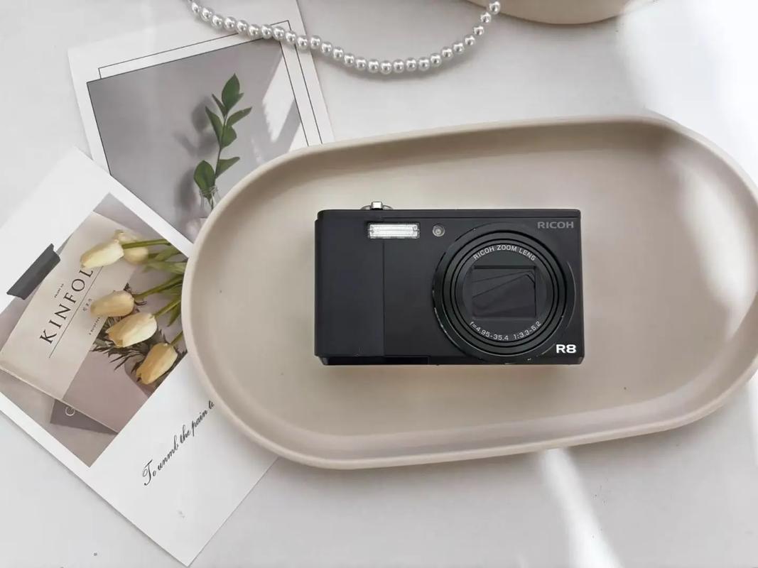 索尼W170和理光R8哪个好