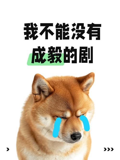 别再花冤枉钱了:你的电脑真的需要水冷吗?