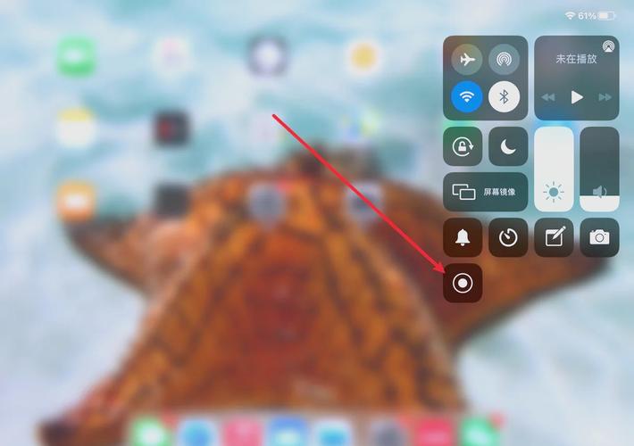 电脑录屏怎么只录声音