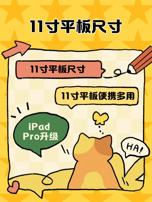 11寸相当于多大实物