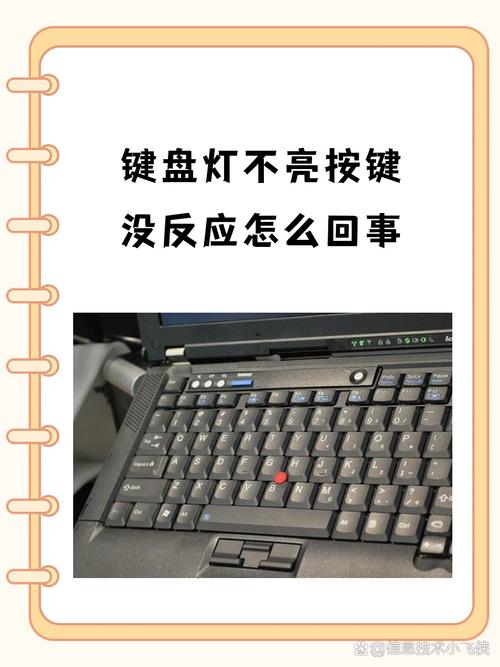 为什么鼠标键盘突然都不能用了?