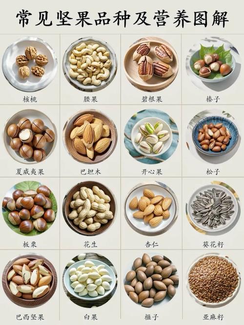 坚果2和坚果3的区别