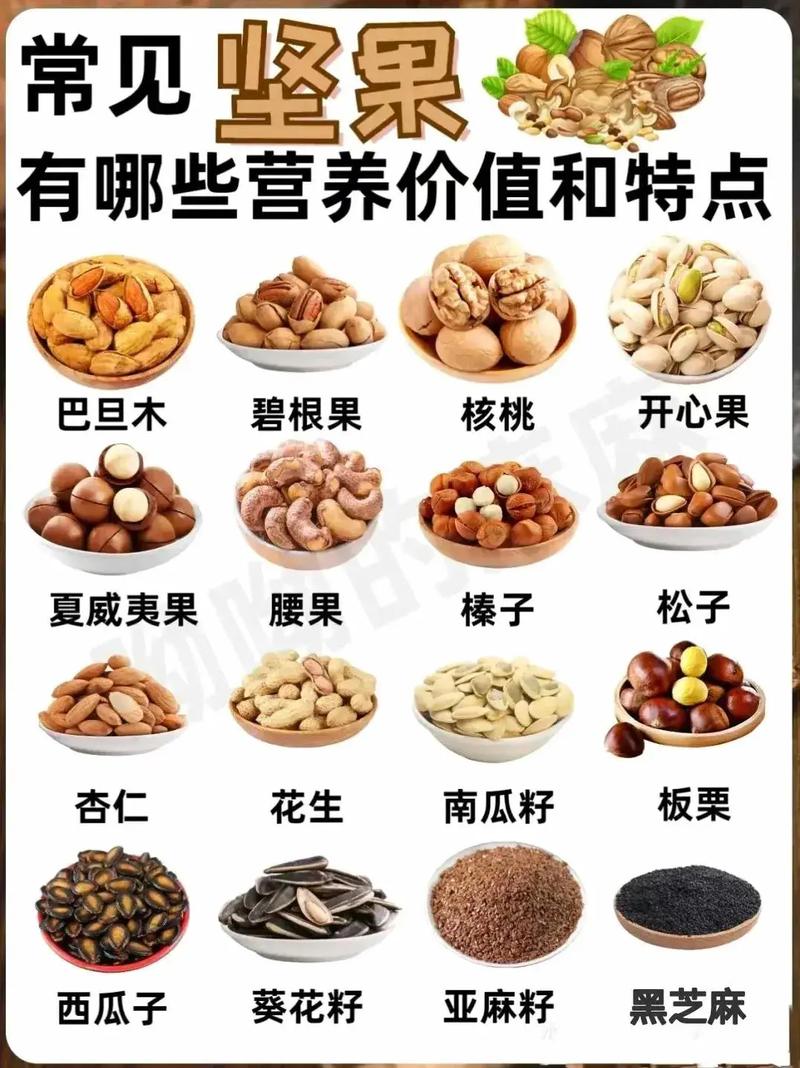 锤子坚果Pro2参数配置详解