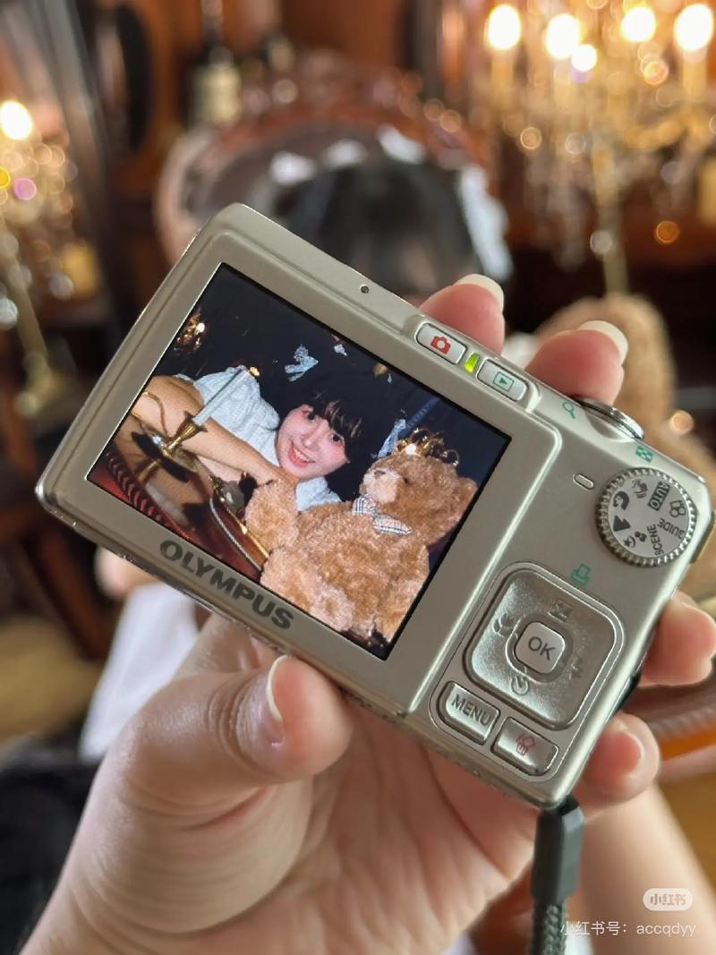 奥林巴斯fe『2』10使用中的问题?有谁知道?