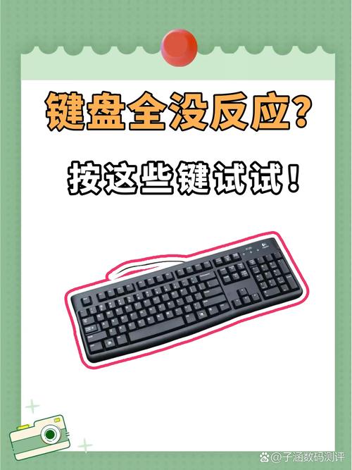 笔记本电脑键盘失灵怎么办