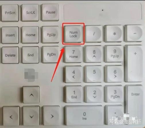 电脑键盘变成了数字键