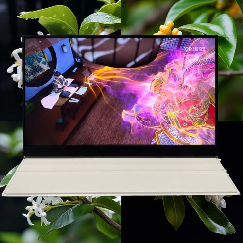 笔记本屏幕类型哪个好