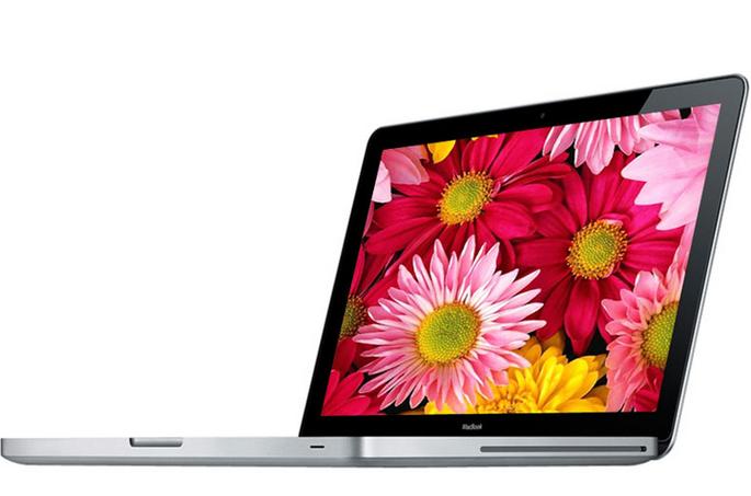 苹果MacBook(MB466CH/A)能弄独立显卡吗?