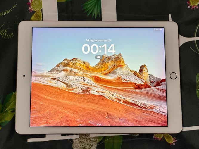 ipad,pro是oled屏吗