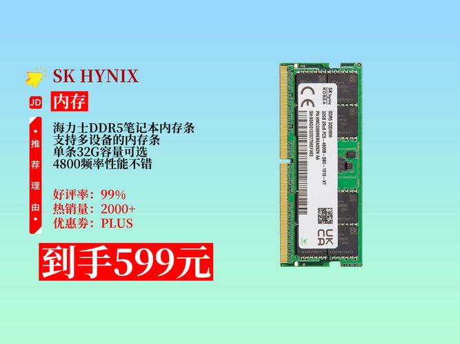 ddr5内存是什么意思