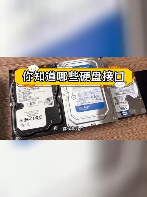 电脑上的硬盘接口有几个?