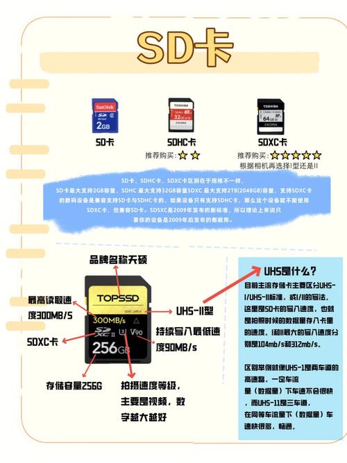 内存卡怎么在手机上使用