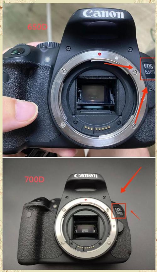 佳能700d和650d的区别