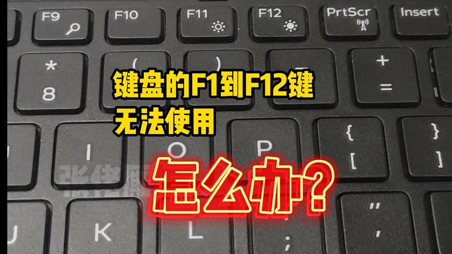 惠普笔记本电脑的f1至f12键盘问题怎么改设置不按FN就使用F1
