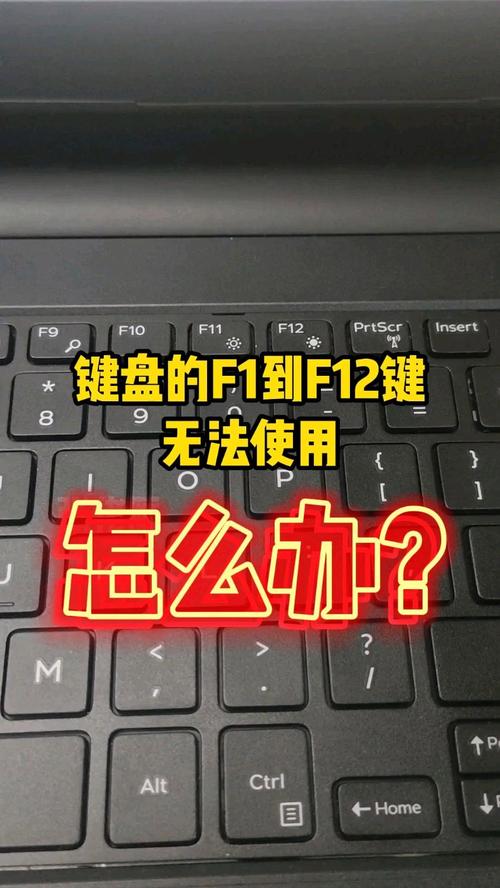 笔记本电脑的f1到f12怎么按