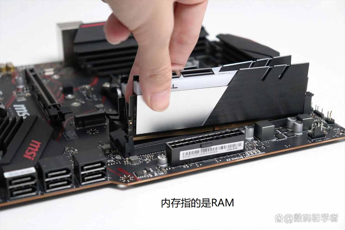 ram和rom各指什么