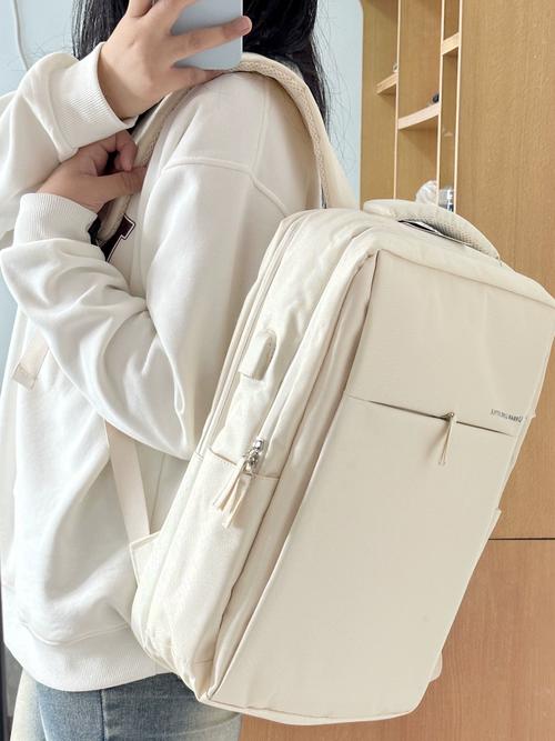 飞机经济舱只让带一件行李,我想带一个双肩包和一个电脑包,可以吗?