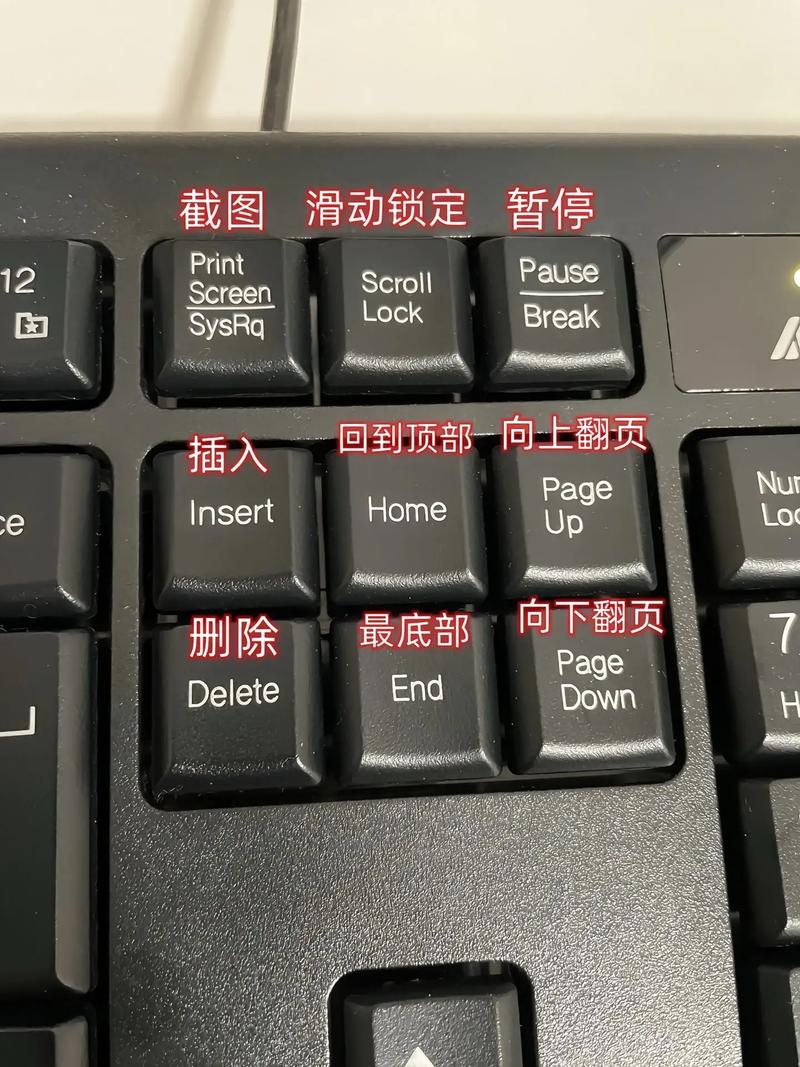 笔记本所有键盘失灵按什么键恢复