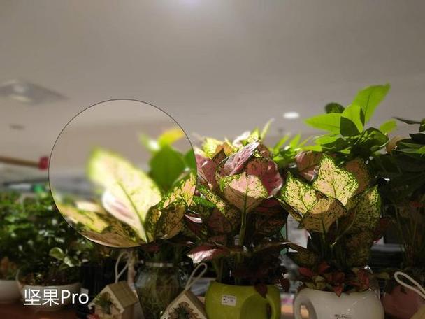 坚果pro3屏幕尺寸是多少-坚果pro3屏幕尺寸介绍