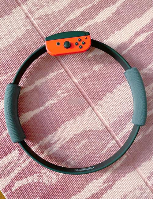 switch一代能玩法环吗