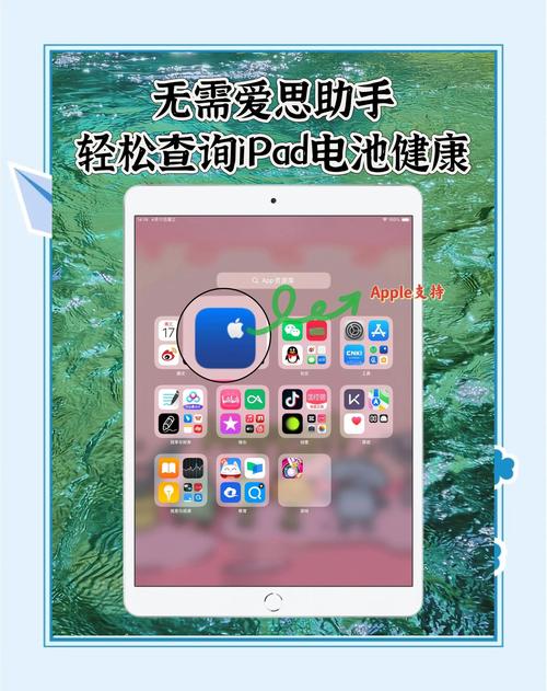 苹果平板电脑如何查看爱思ipadmini6怎么查爱思