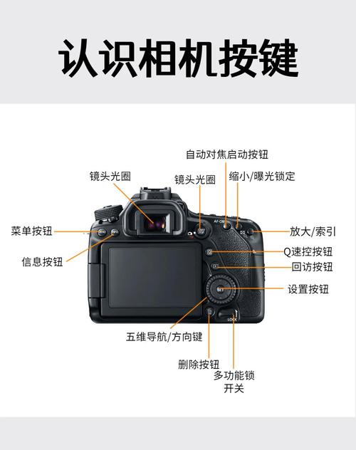 佳能80D怎样倒出前几日的照片?