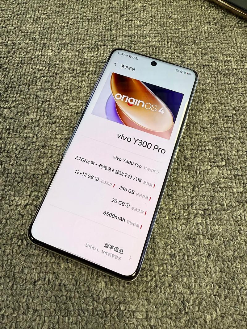 vivoy300pr0屏幕是三星屏吗