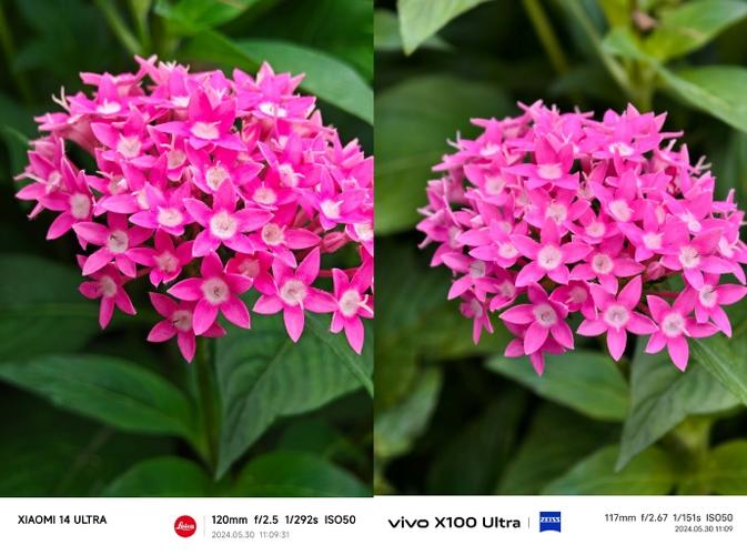 小米6X对比R15和X21怎么选取?