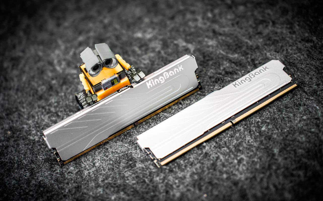 纯国产内存要来,国外品牌全慌了?内存齐降价,威钰来试水