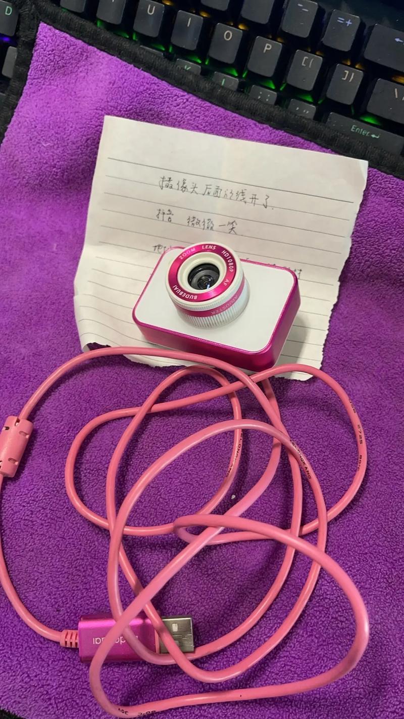 不得不爱摄像头插件不兼容怎么处理