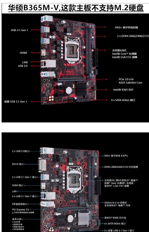 b365主板支持3200内存吗