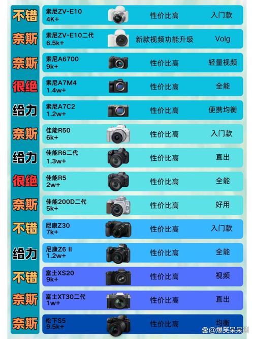 数码相机:索尼的T900和T90,还是佳能的伊克萨斯110好?