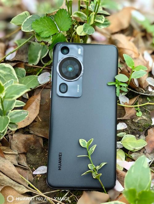 维沃手机换屏要多少钱