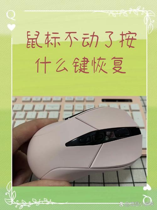 电脑开机后鼠标能动但是点击什么都没反应.