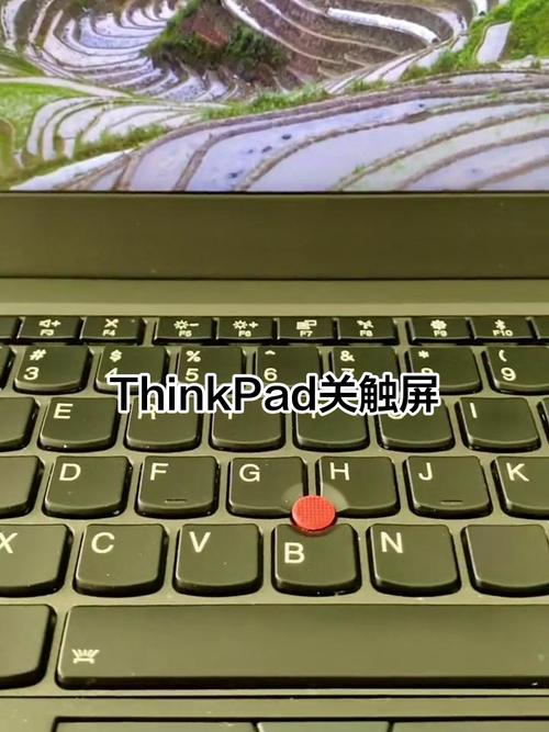 联想电脑触屏失灵了,但插上鼠标还可以用,怎么解除触屏失灵呀