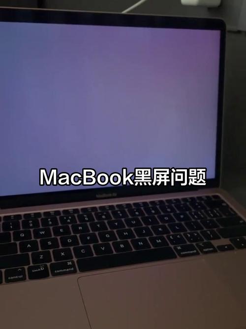 苹果电脑突然黑屏怎么办按什么都没反应(苹果电脑突然黑屏怎么回事)