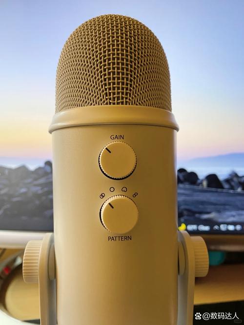 家庭ktv买什么麦克风