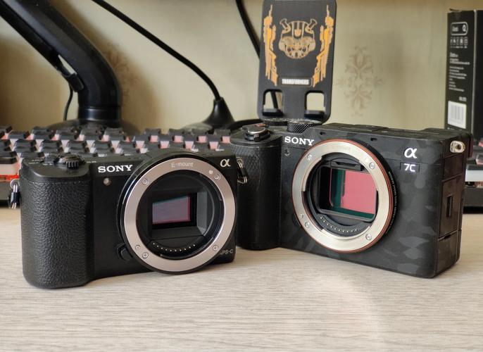 索尼A55主要性能