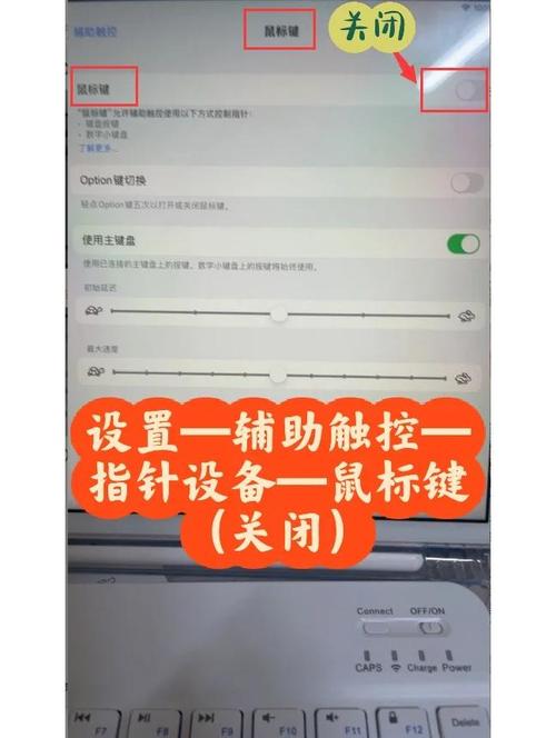 台式苹果电脑的键盘无法使用怎么办