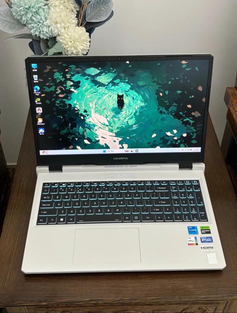 机械革命和七彩虹笔记本哪个品控好