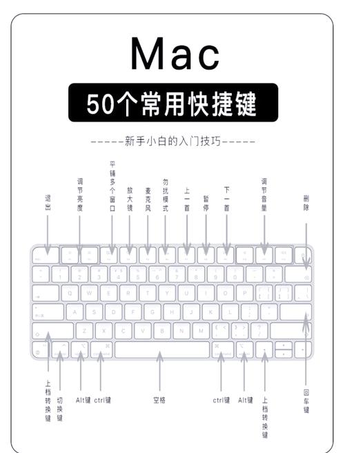 苹果键盘的快捷键是什么?