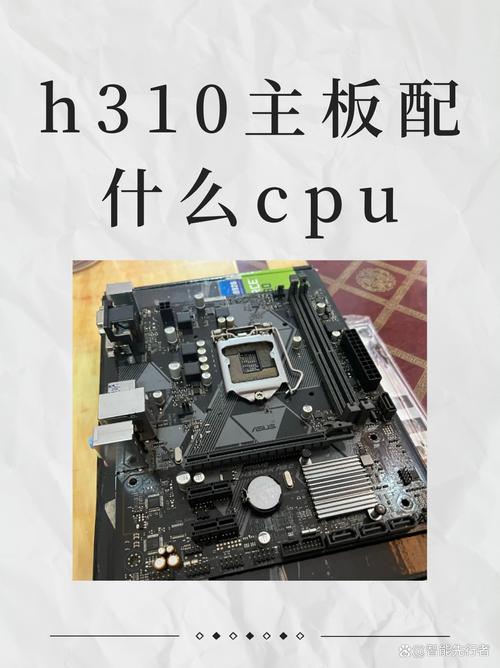 电脑cpu是g2030的,配什么显卡好一点,要换主板或者别的什么